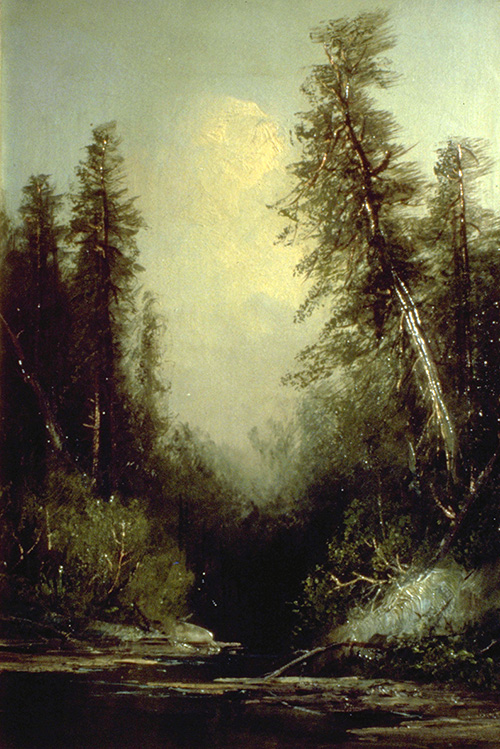 [painting photograph]