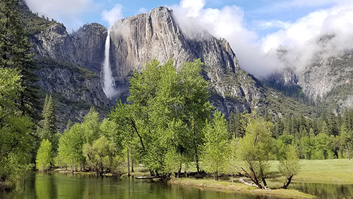 [painting photograph]